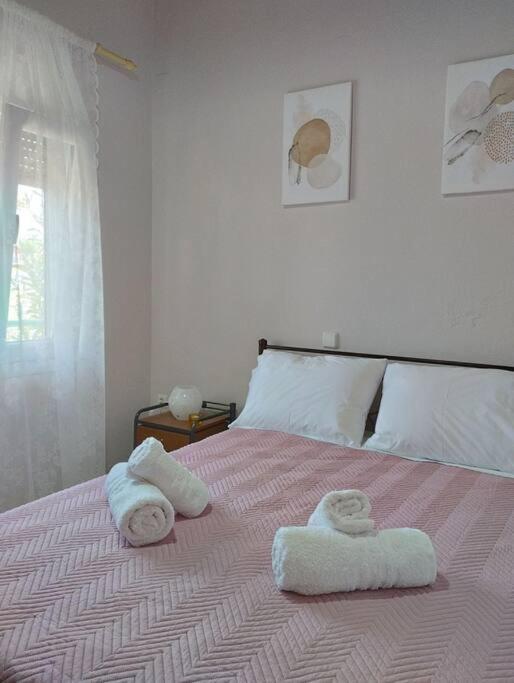 Lovely Guesthouse On The Beach アギアアンナ エクステリア 写真